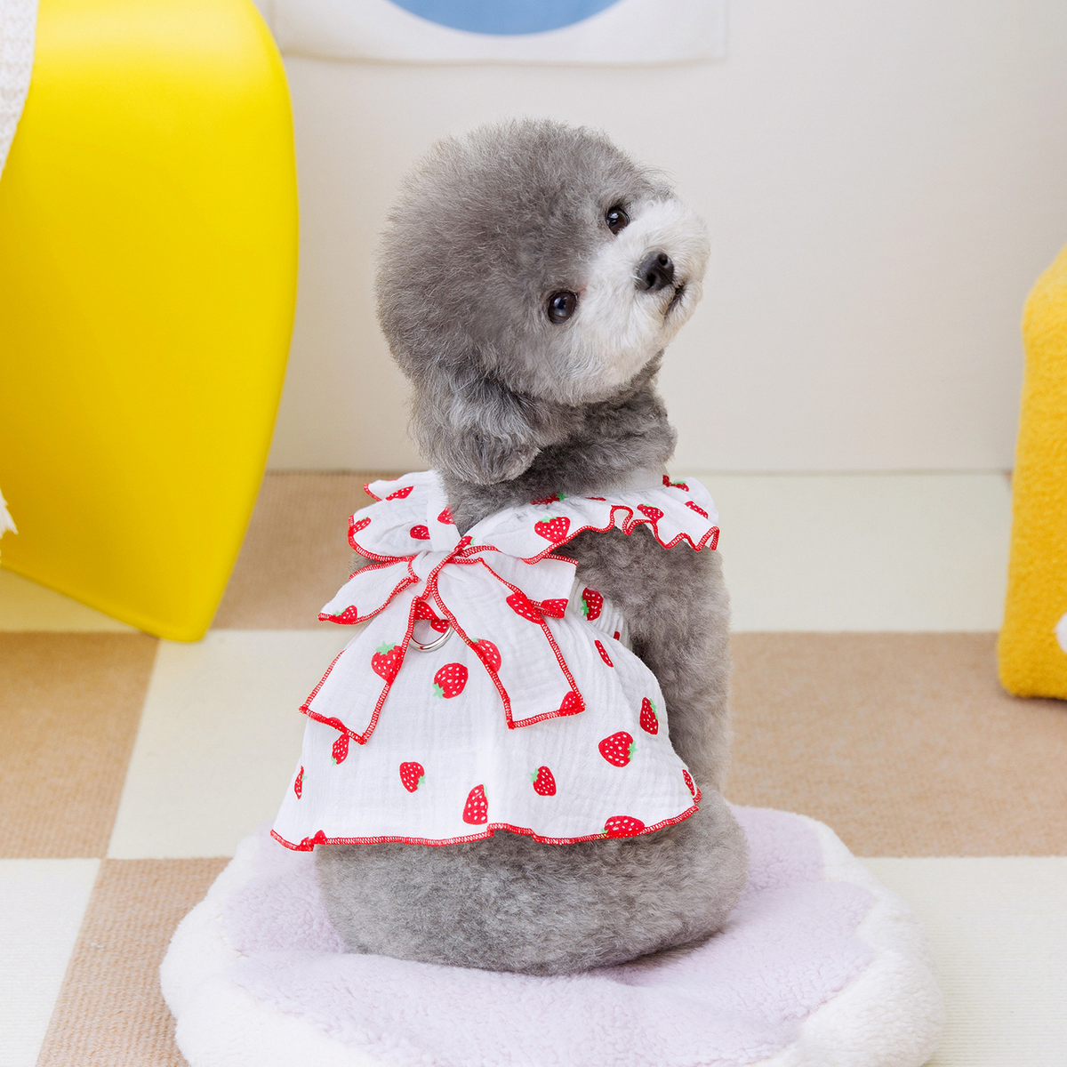 FloralPaw Princess Dress – Spring Pet Outfit_CWMM6984