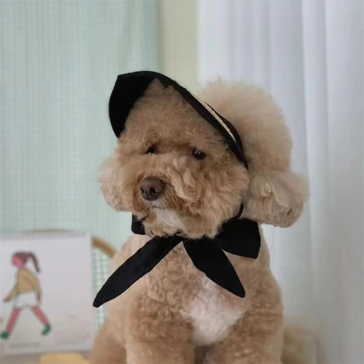 Adjustable Lace Sun Hat for Small Dogs & Cats_CWAH3712