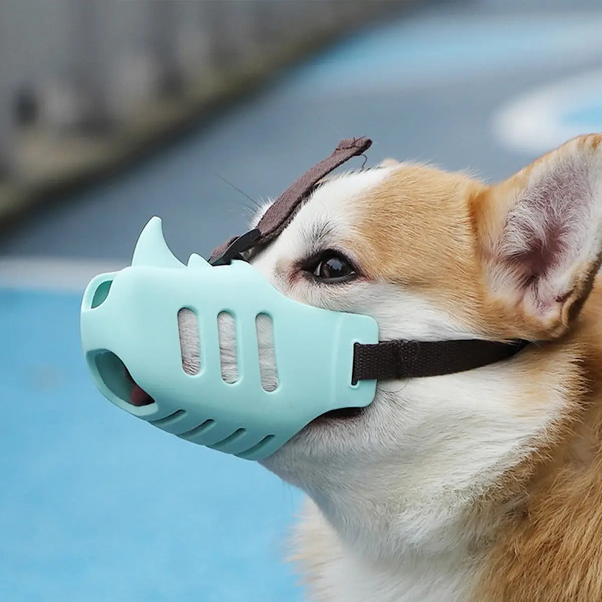 Dog Muzzle for Corgis & Shiba Inu-Anti-Bark & Bite_CWMM7264