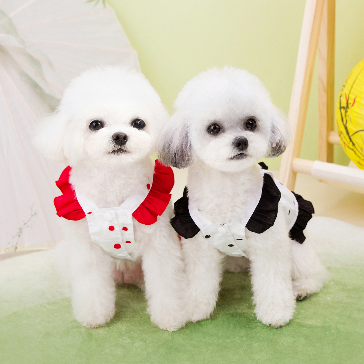 DotiePet Polka Dot Dress – Summer Dog Outfit_CWMM6987