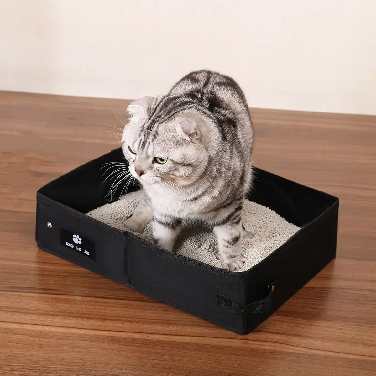 Foldable Oxford Cloth Cat Litter Box for Travel_CWMM6930