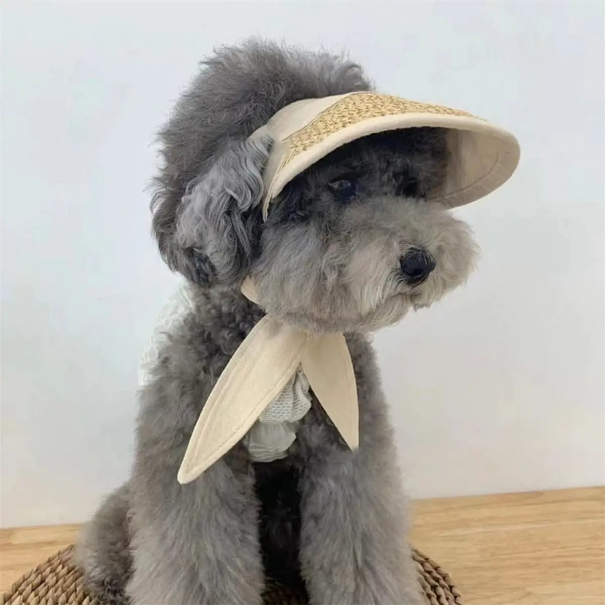 Adjustable Lace Sun Hat for Small Dogs & Cats_CWAH3712