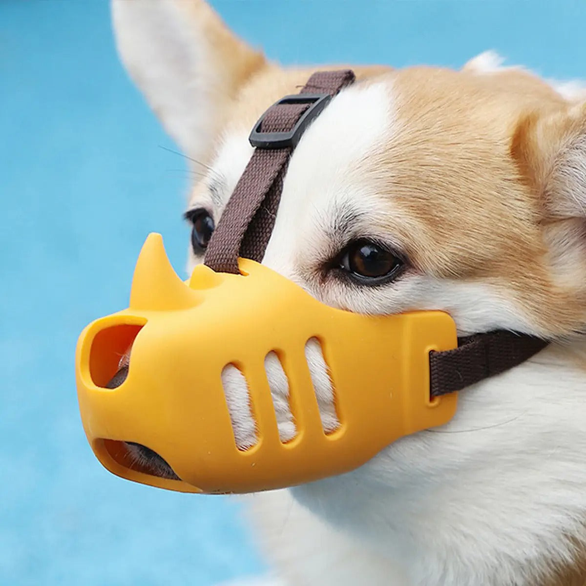 Dog Muzzle for Corgis & Shiba Inu-Anti-Bark & Bite_CWMM7264