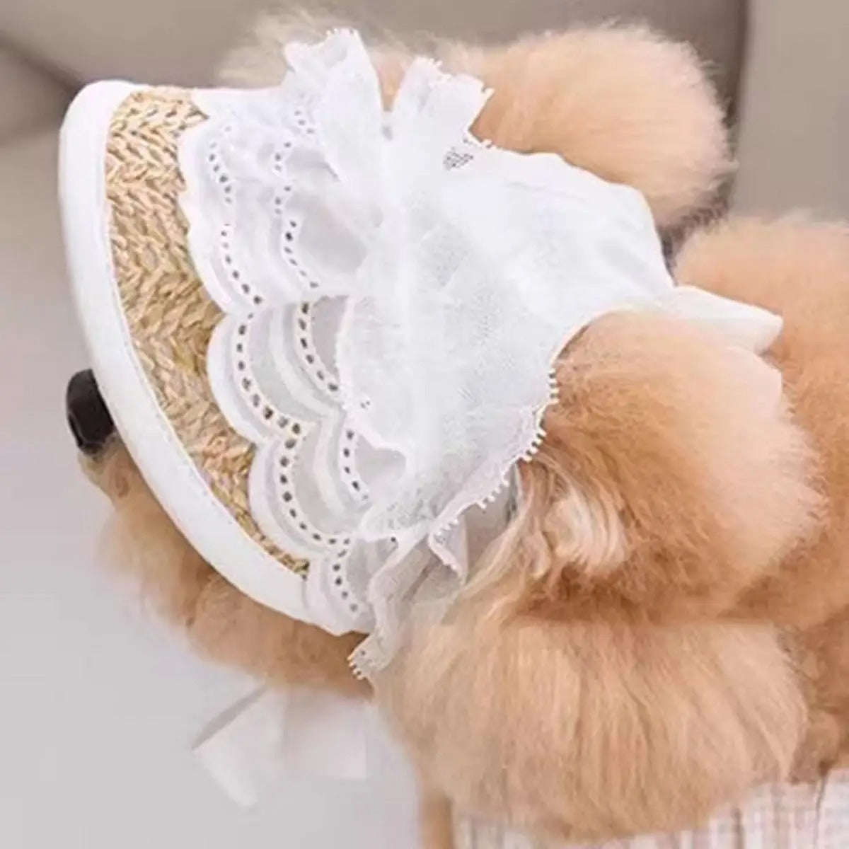 Adjustable Lace Sun Hat for Small Dogs & Cats_CWAH3712