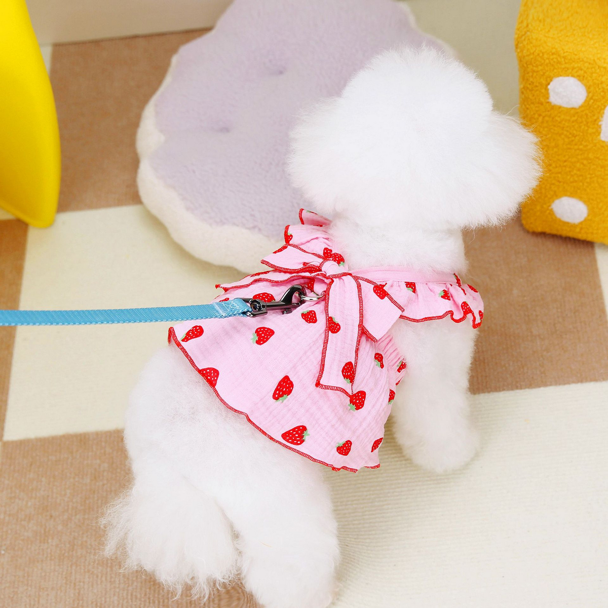 FloralPaw Princess Dress – Spring Pet Outfit_CWMM6984