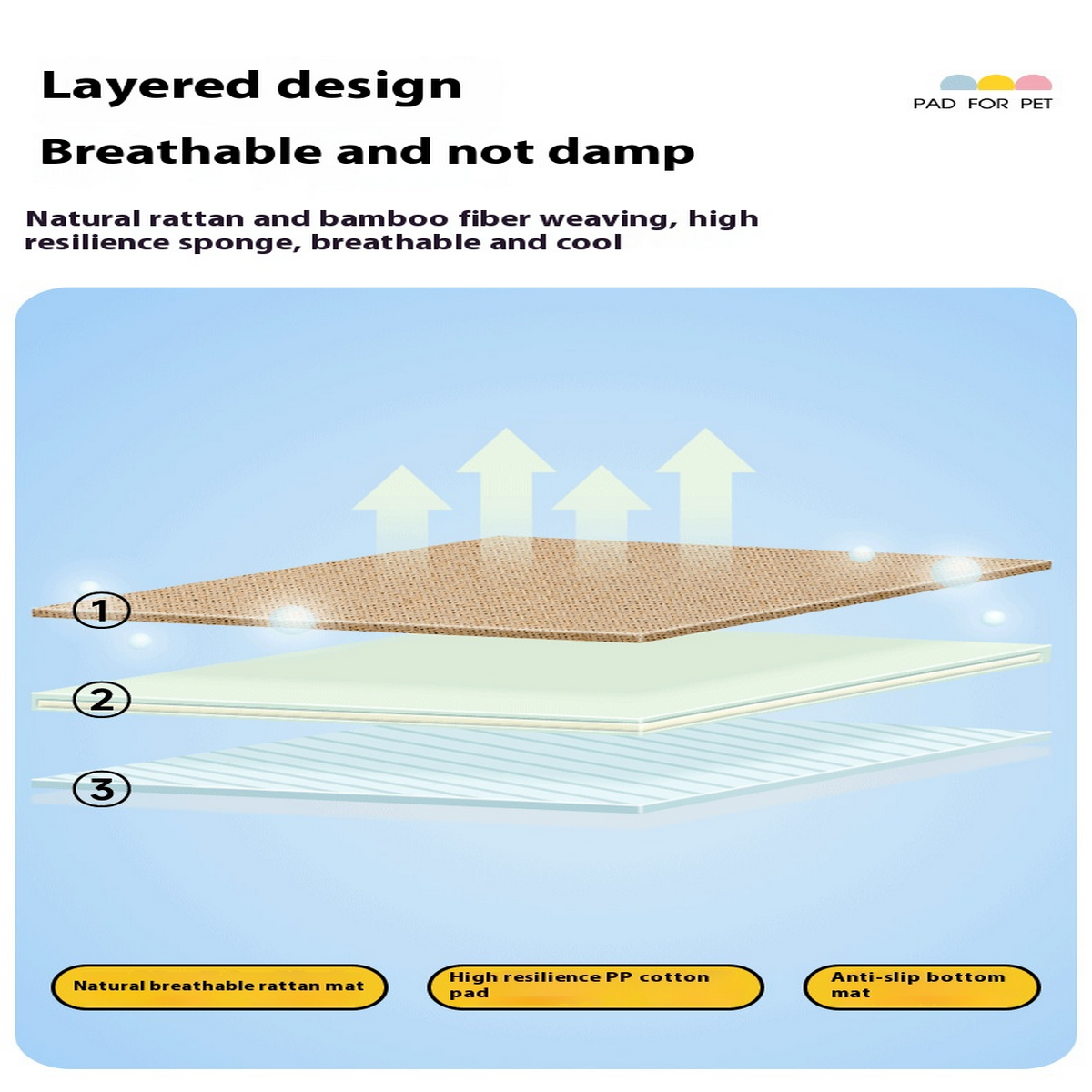 Cartoon Cooling Pet Mat – Summer Sleep Pad_CWMM7934