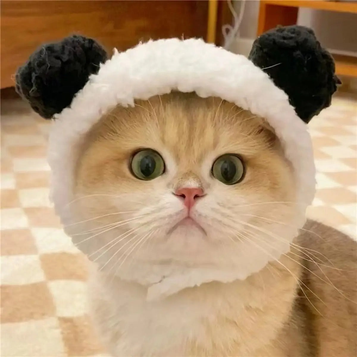 Cute Panda Bear Hat for Cats and Small Dogs_CWAH3695