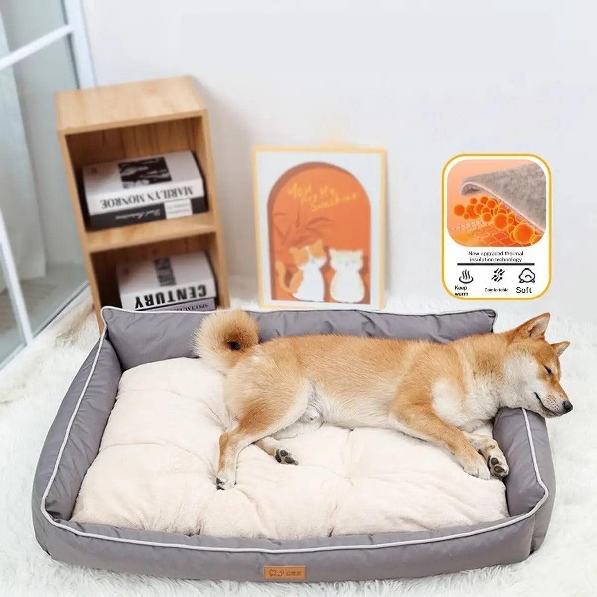 Antibacterial Dog Bed – Washable & All-Season_CWASC2584