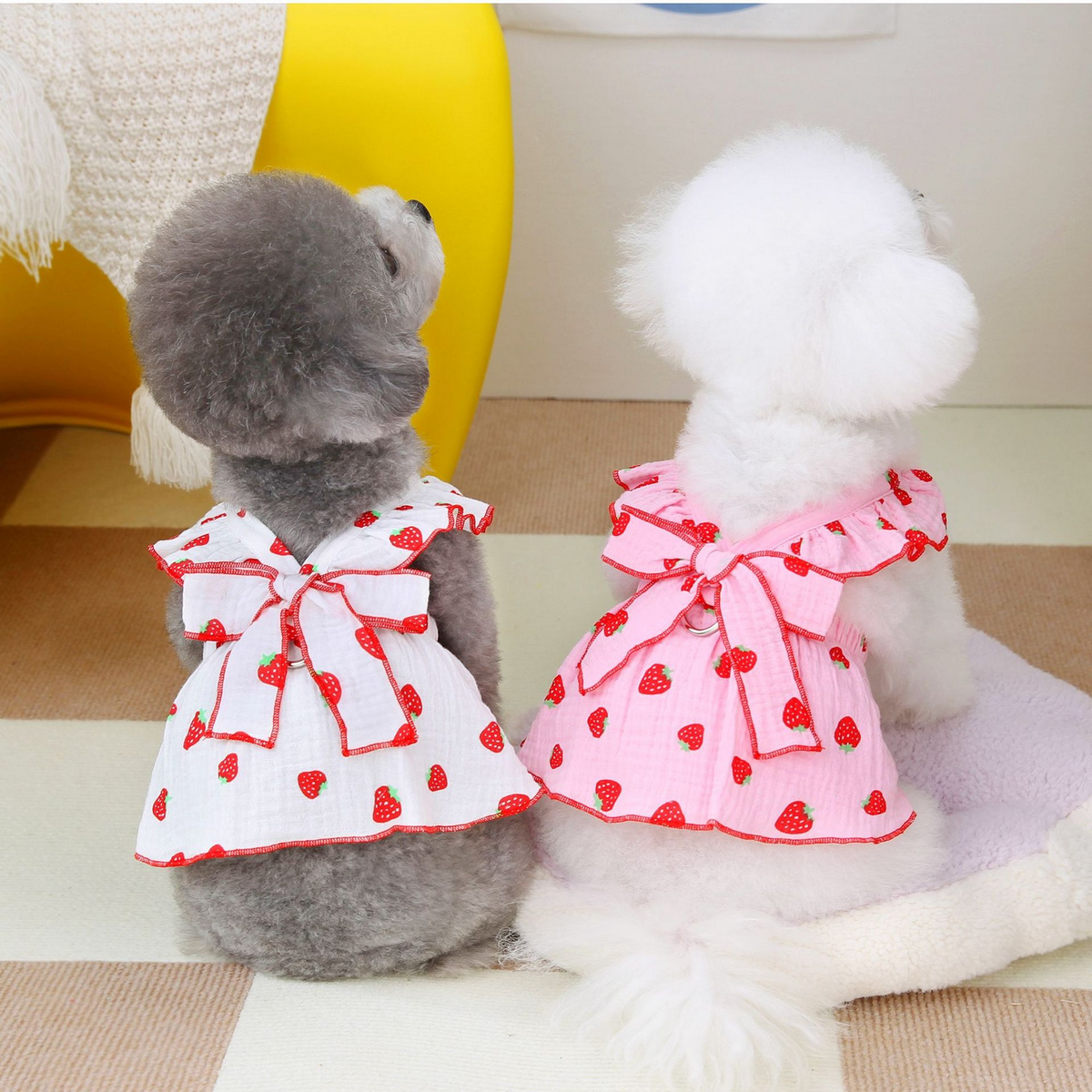 FloralPaw Princess Dress – Spring Pet Outfit_CWMM6984