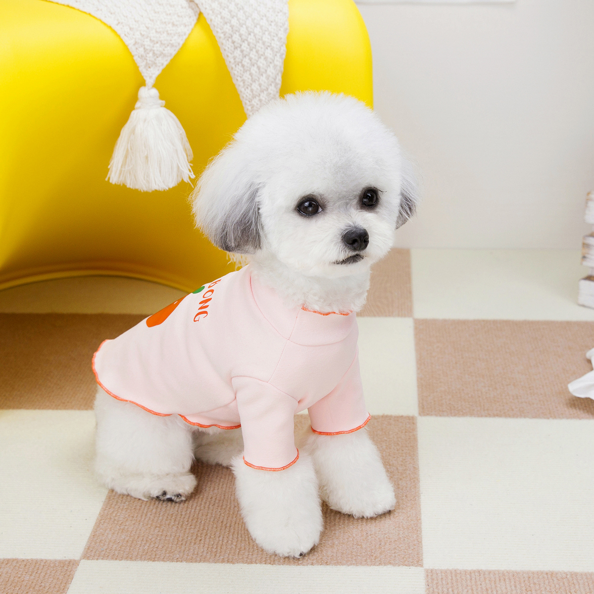 PawMelon Pet Tee – Cute Fruit Print Shirt_CWMM6988