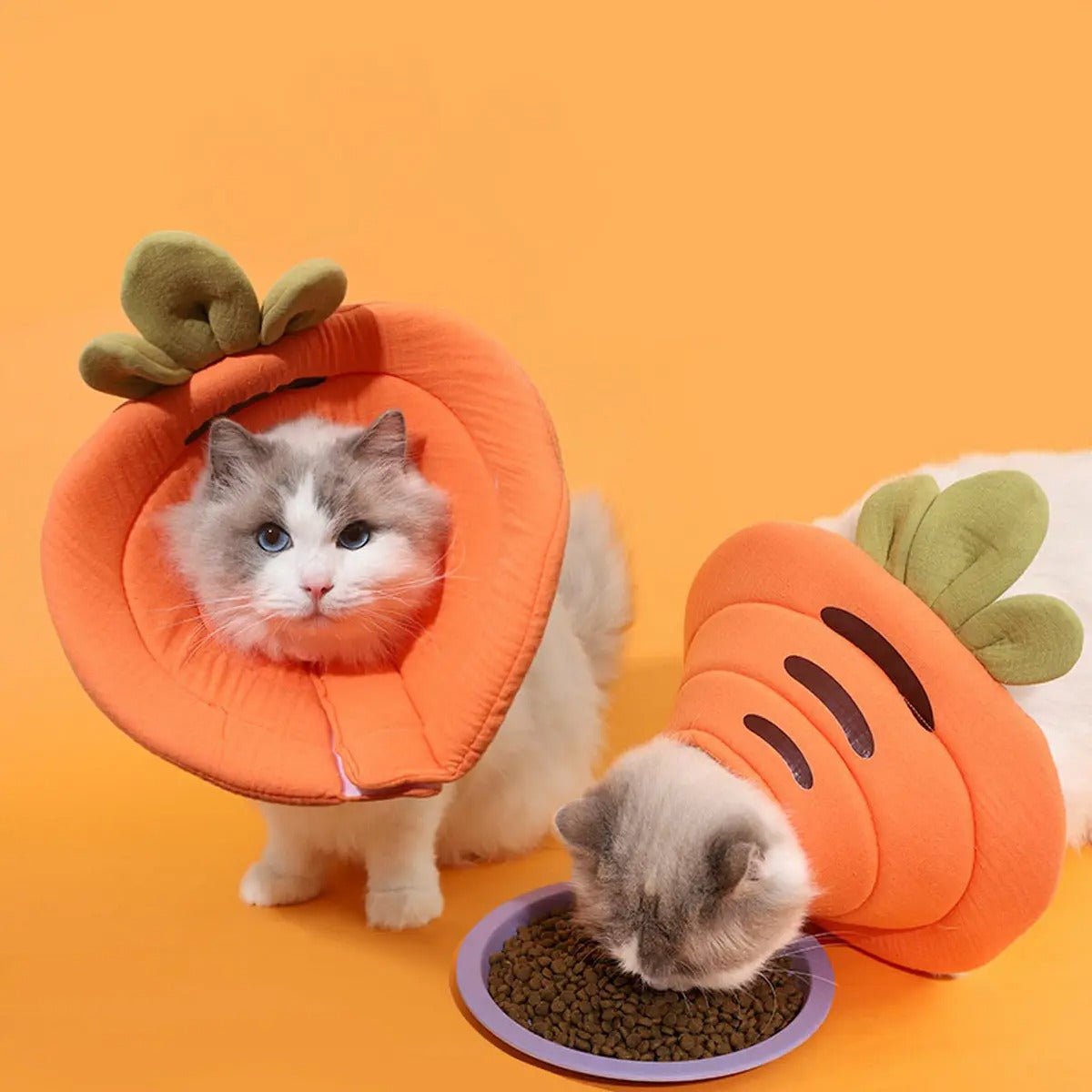 Elizabeth Collar for Cats – Double cotton yarn_CWMM7266