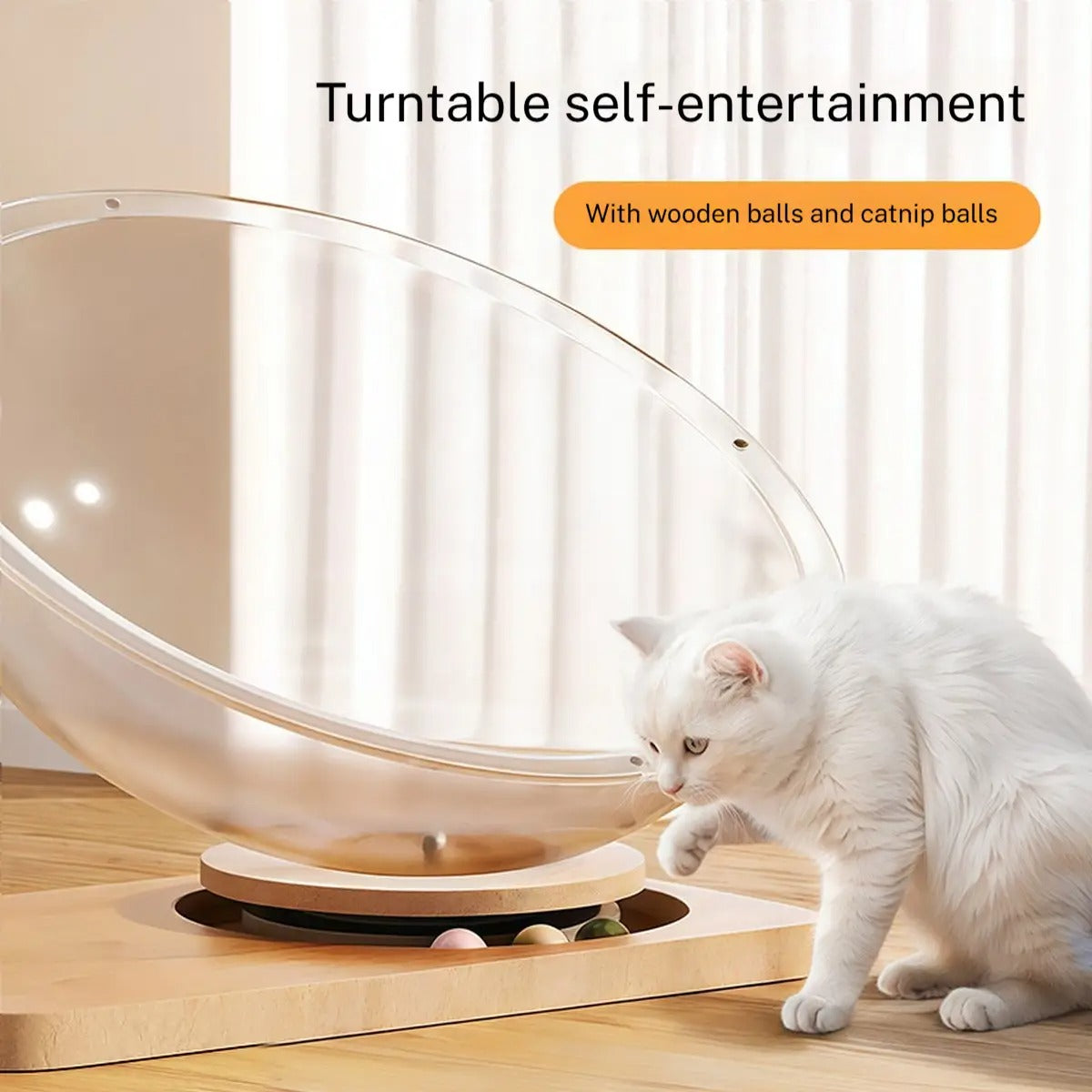 Acrylic Space Capsule Cat Bed with Wood Spinner_CWMM6277