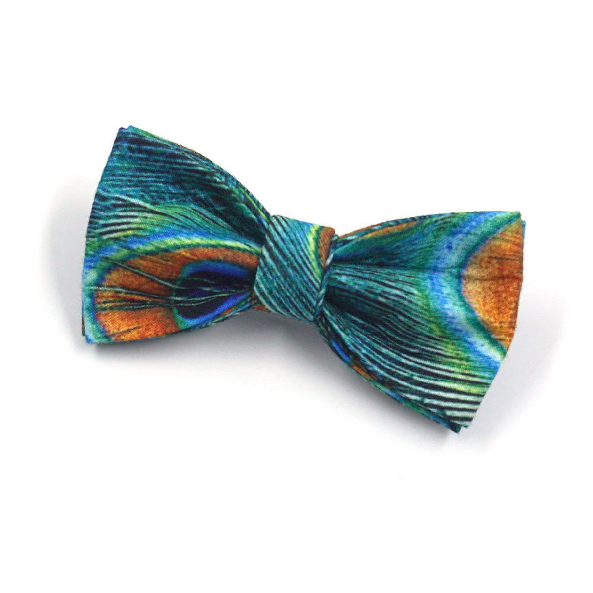 Peacock Feather Cat & Dog Collar with Bell_CWMM7095