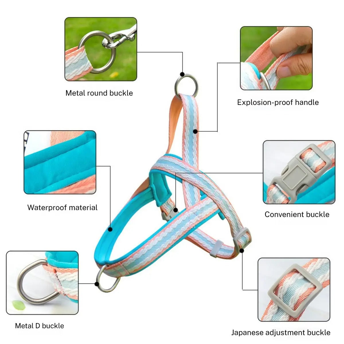 Pet  Harness Leash Combo for Walking & Training_CWMM5954