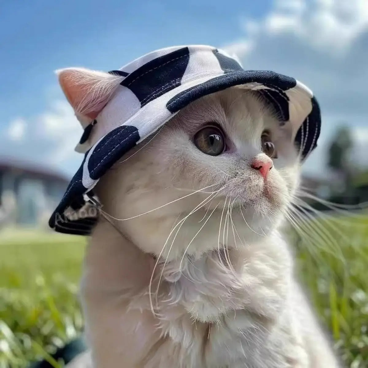 Cute Pet Sun Hat with Ear Holes for Cats & Dogs_CWMM6289