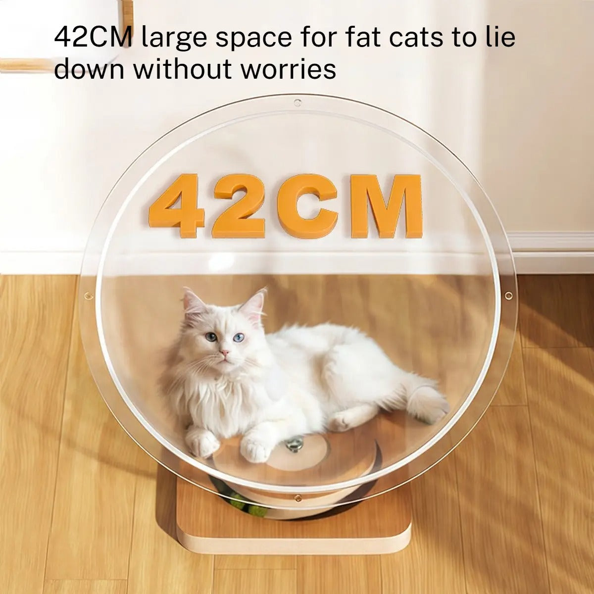 Acrylic Space Capsule Cat Bed with Wood Spinner_CWMM6277