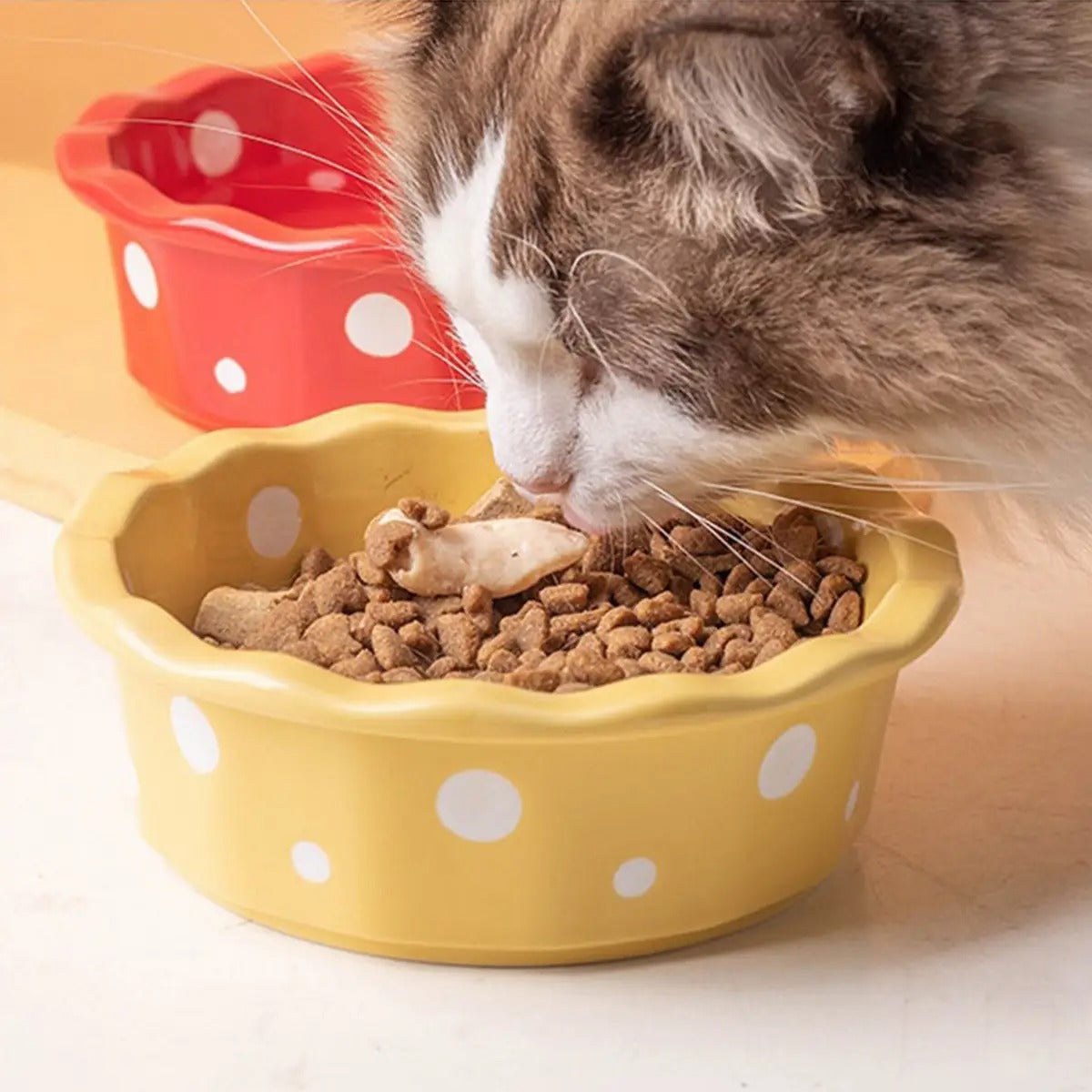 Cute Ceramic Cat Bowl with Polka Dots – Anti-Spill_CWMM7265