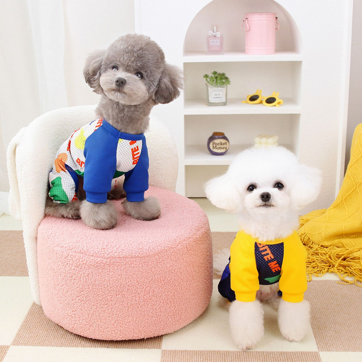 BreezyMesh Pet Jumpsuit – 4-Leg Summer Suit_CWMM6989