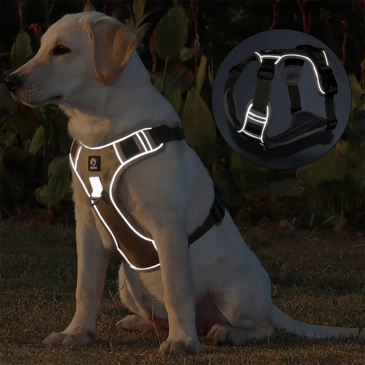 Large Dog Vest Harness for Outdoor Training Use_CWMM7301