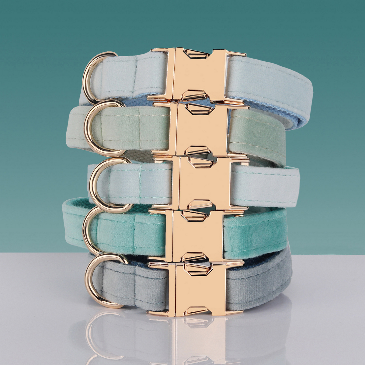 Insta-Chic Pet Collar for Medium Dogs_CWMM7076