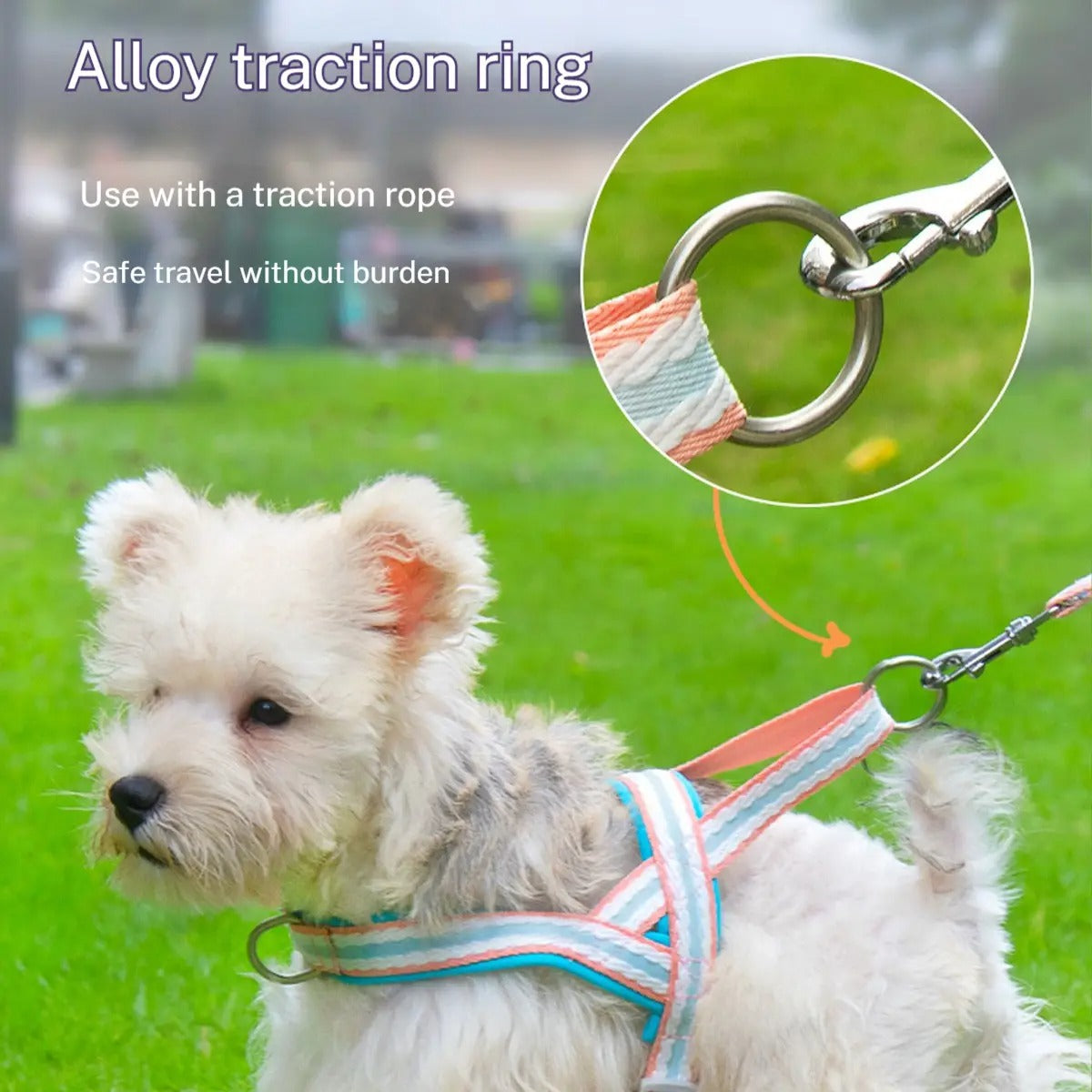 Pet  Harness Leash Combo for Walking & Training_CWMM5954