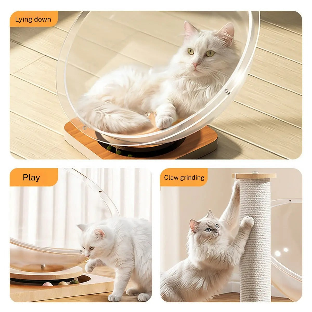 Acrylic Space Capsule Cat Bed with Wood Spinner_CWMM6277