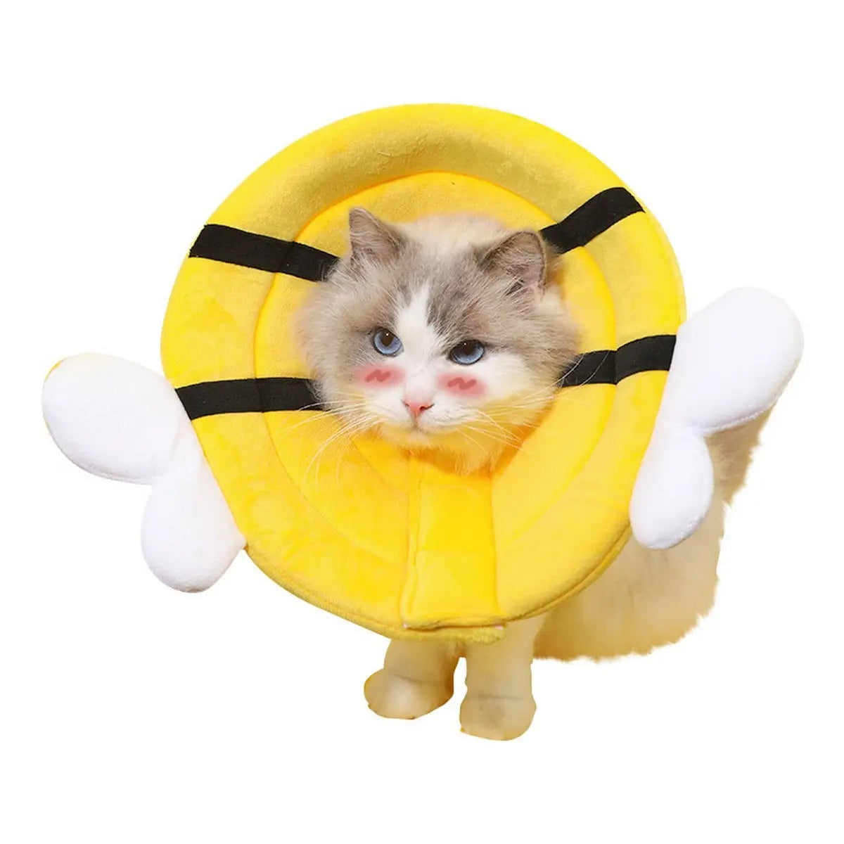 Elizabeth Collar for Cats – Double cotton yarn_CWMM7266