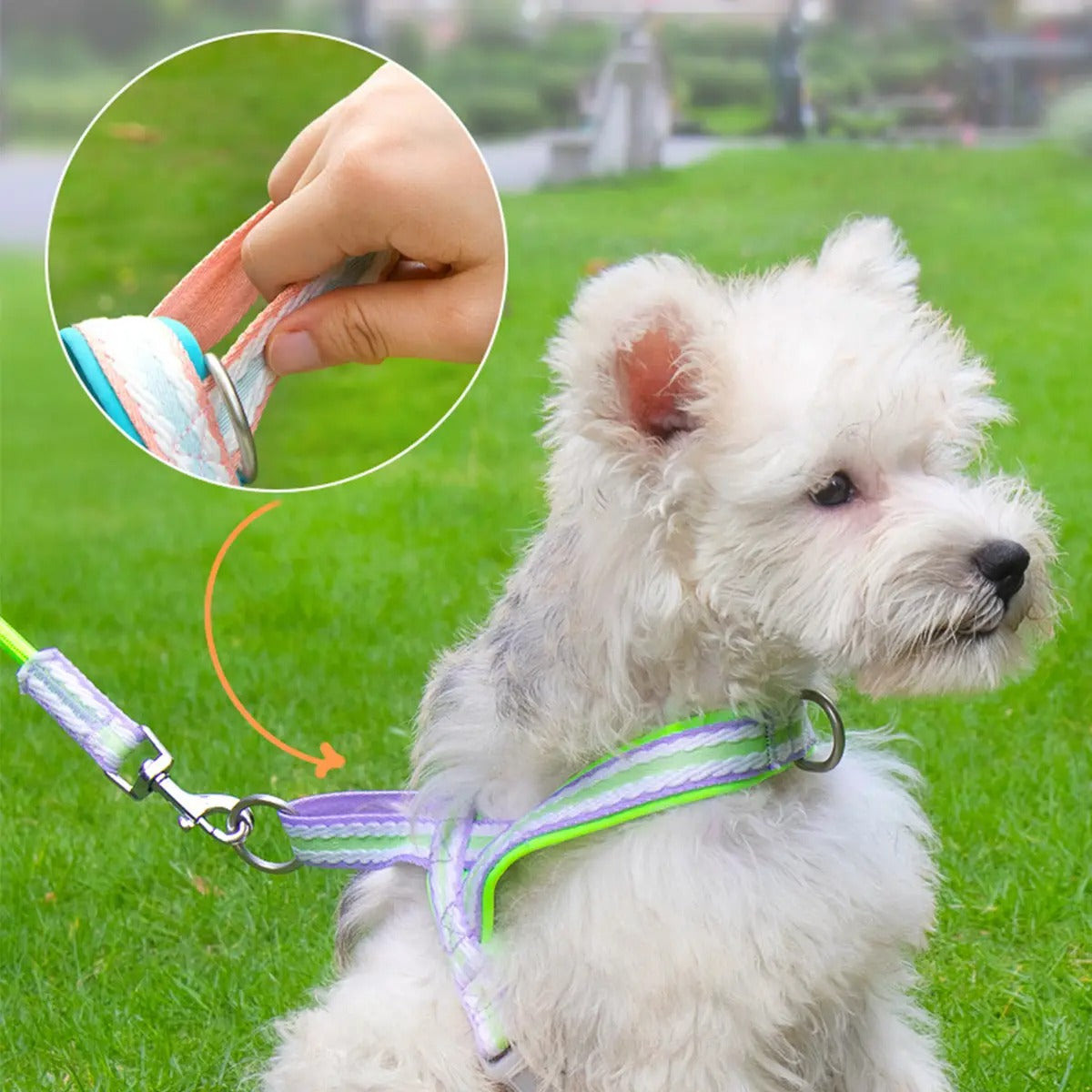 Pet  Harness Leash Combo for Walking & Training_CWMM5954