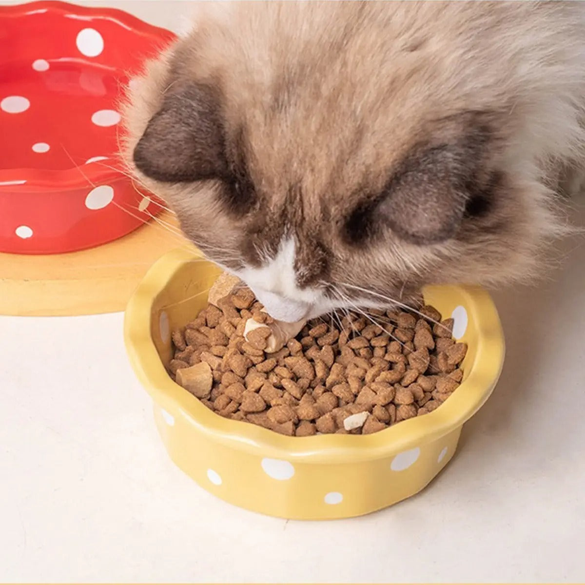 Cute Ceramic Cat Bowl with Polka Dots – Anti-Spill_CWMM7265