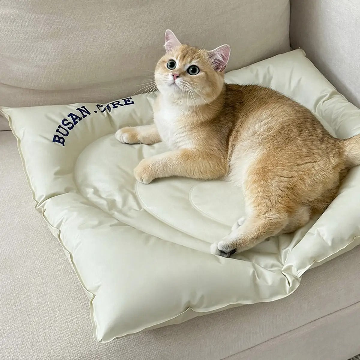 Cooling Pet Mat for Summer – Cat Dog Ice Pad_CWMM6687