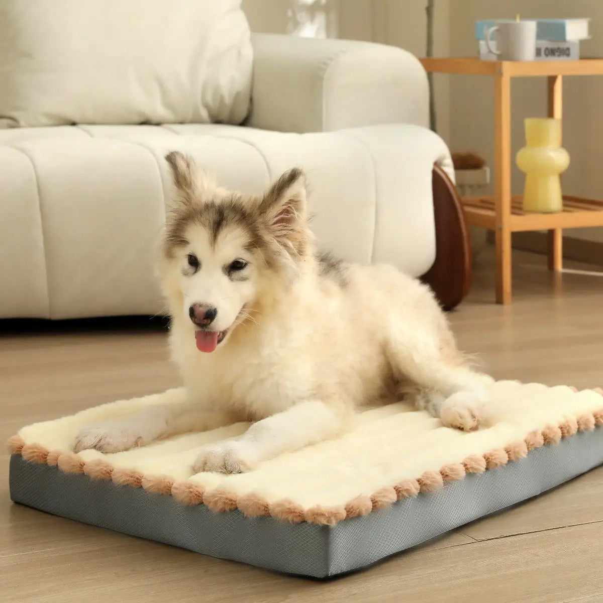 High-Elastic Memory Foam Dog Bed, Washable_CWMM5892