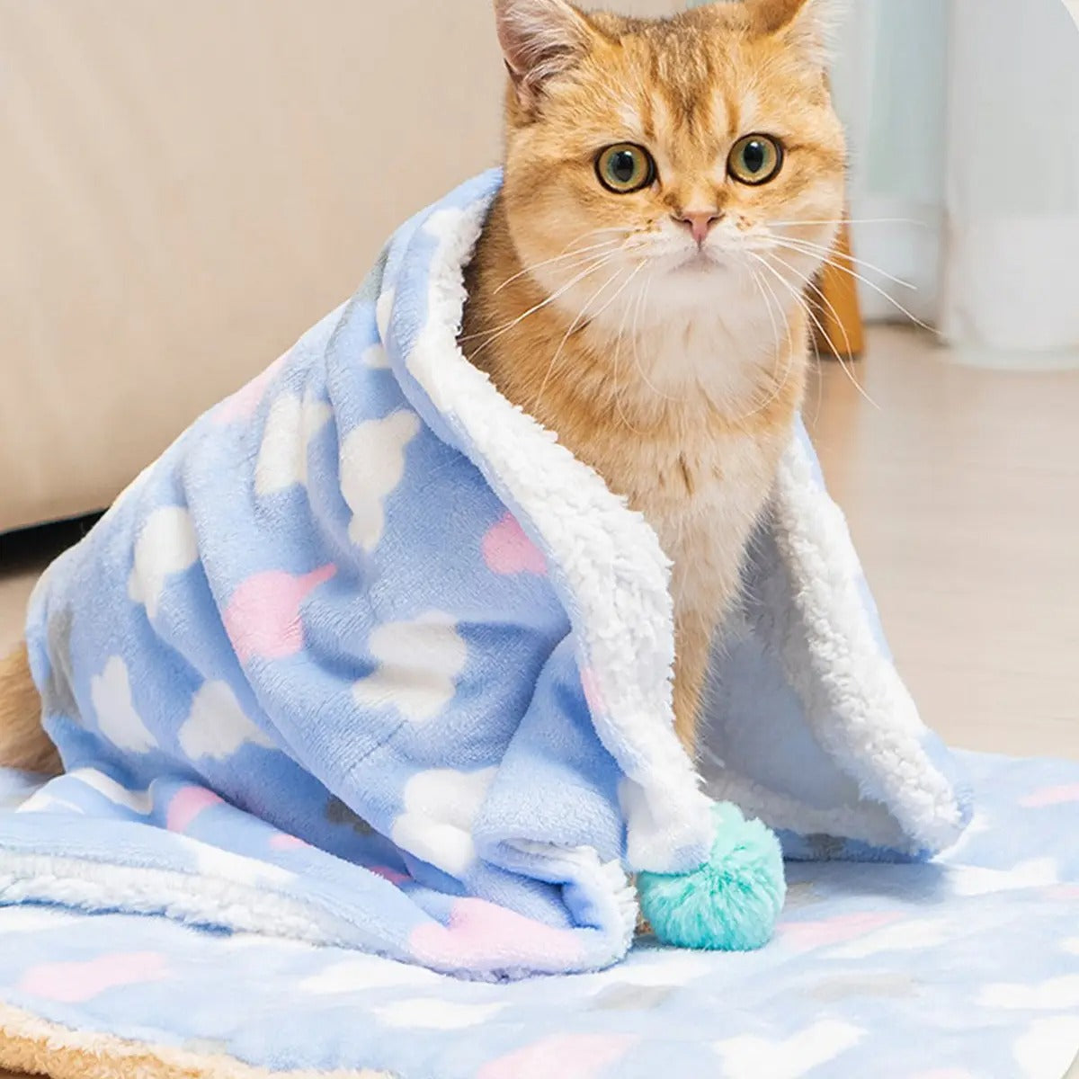 Flannel Pet Blanket for Winter Cozy Comfort_CWMM6268