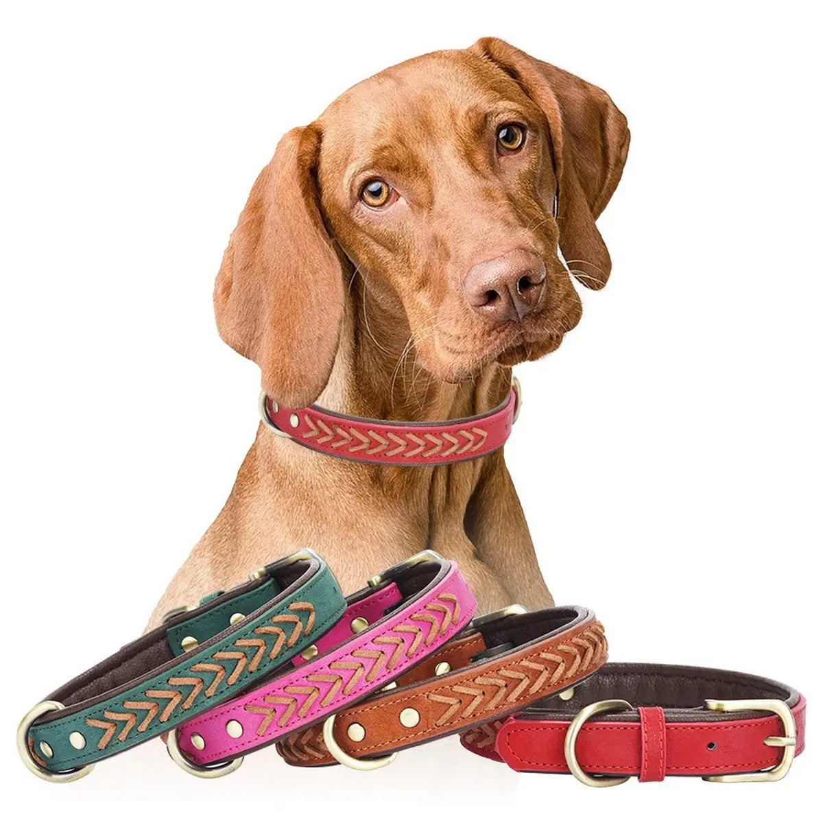 Durable Handcrafted Leather Pet Collar for  Dogs_CWMM5982