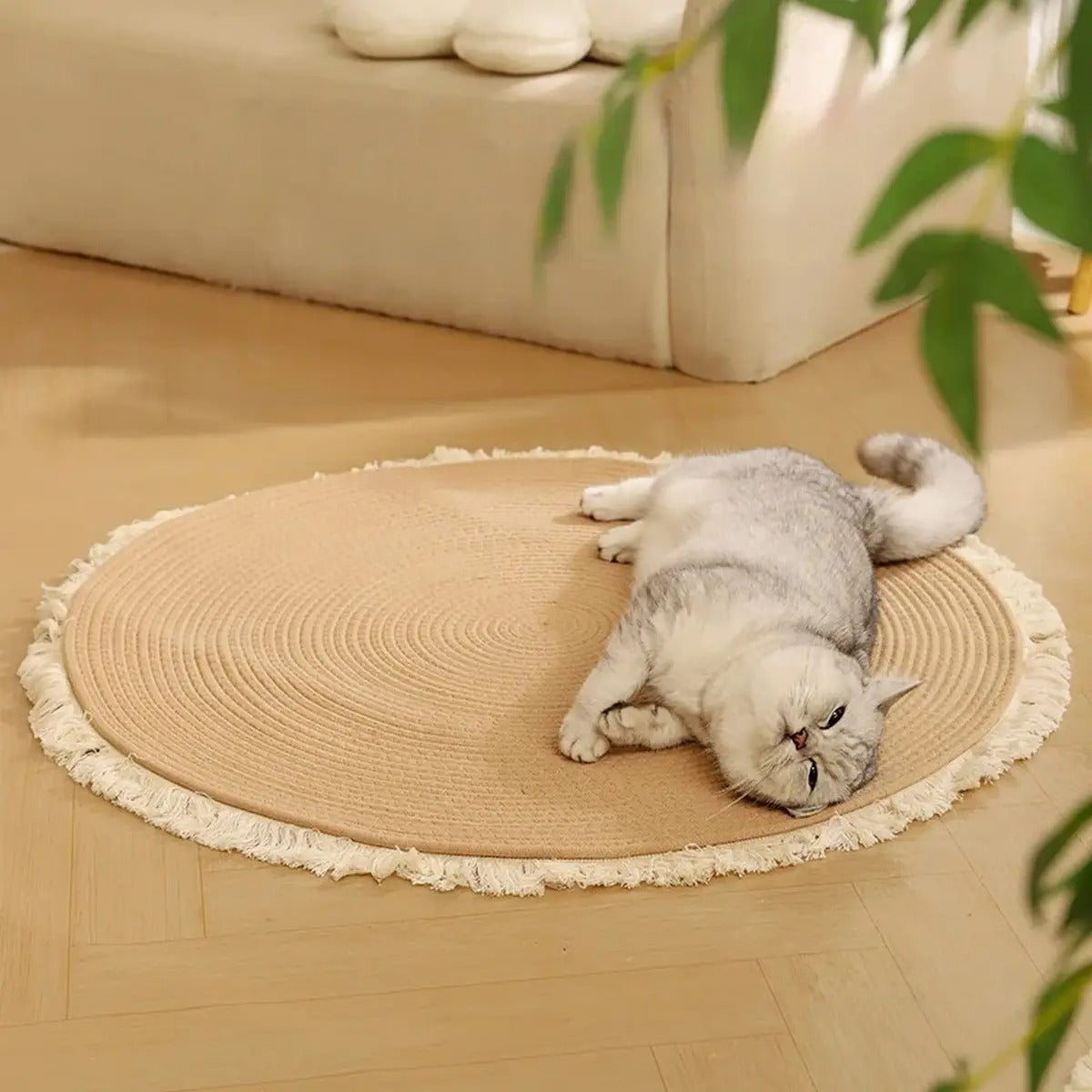 Anti-Slip Cat Mat with Claw Sharpening Surface_CWMM6562