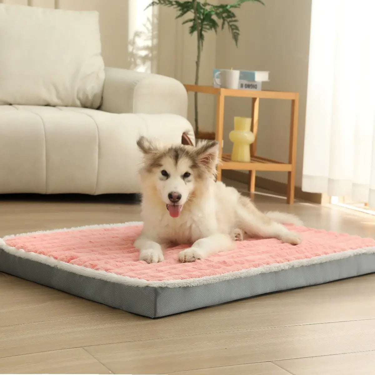 High-Elastic Memory Foam Dog Bed, Washable_CWMM5892