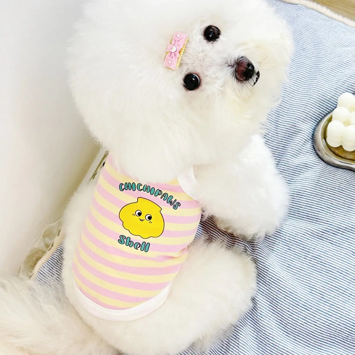 New Denim Cotton Vest for Small & Medium Dogs_CWMM5861