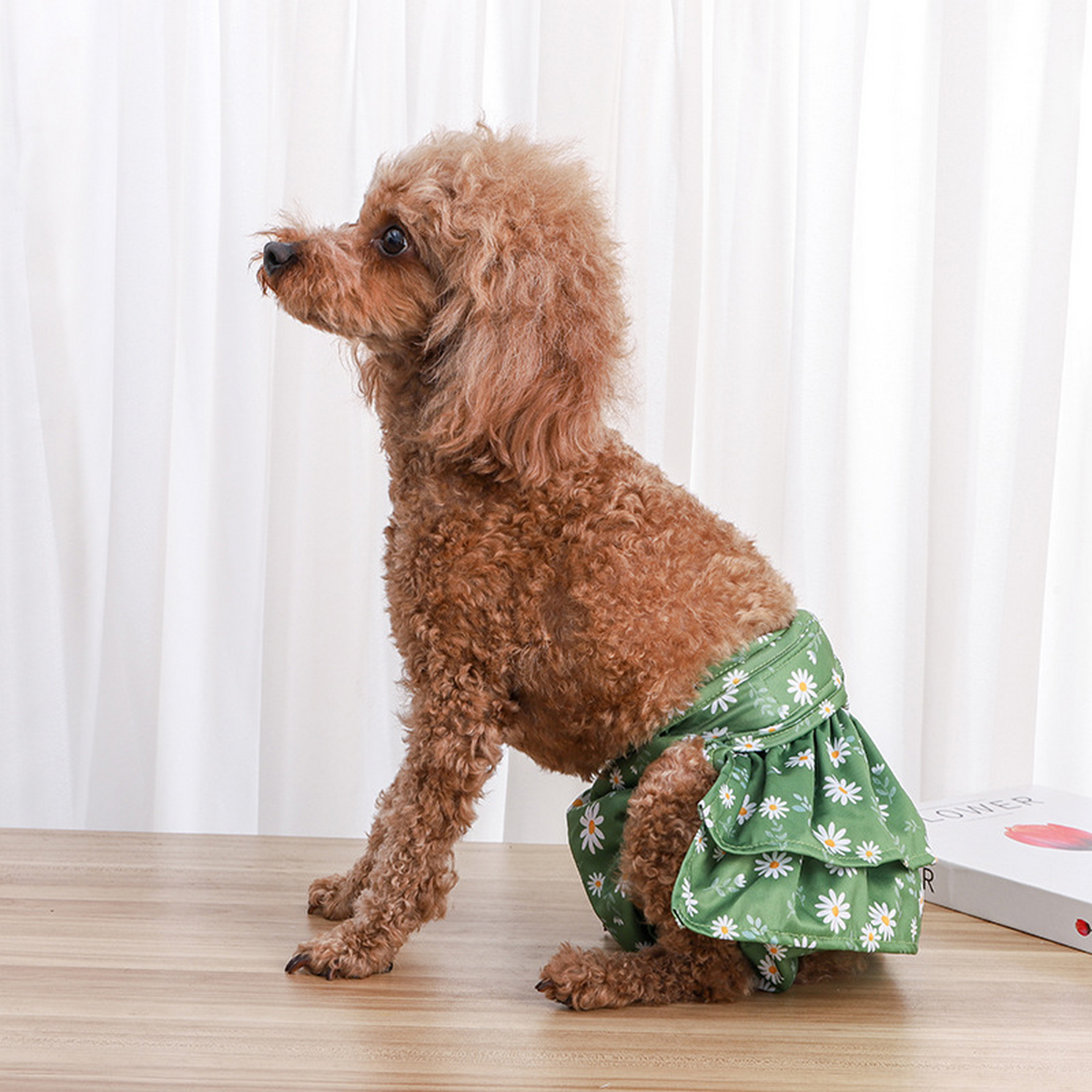 Dog Period Panties – Reusable Sanitary Diaper_CWMM7286