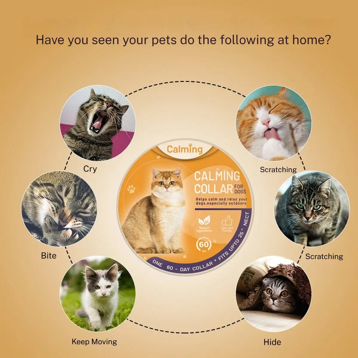Pet Calming Collar Stress Relief for Cats Dogs_CWMM6492
