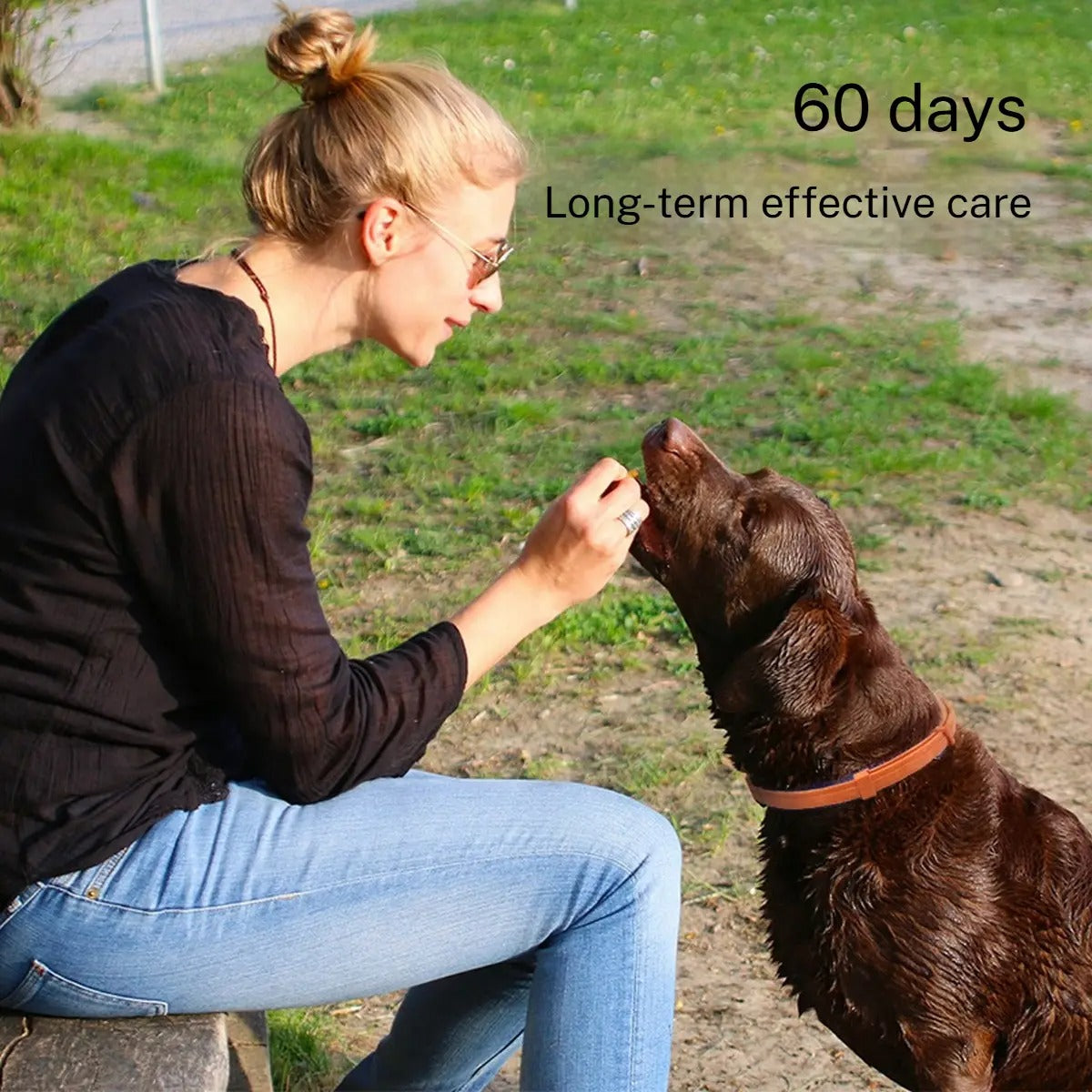 Pet Calming Collar Stress Relief for Cats Dogs_CWMM6492