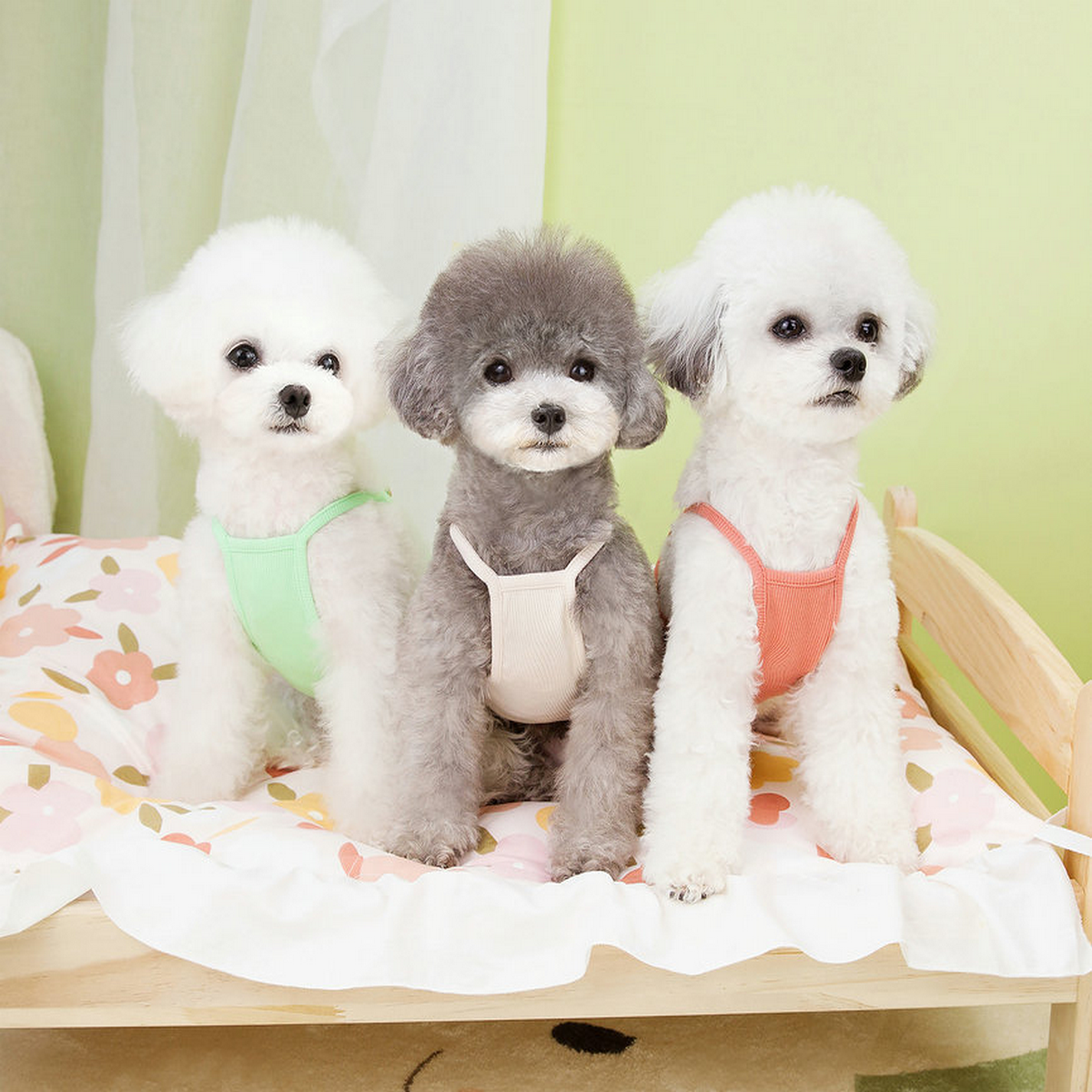 CakeBear Pet Vest – Cute Summer Dog Shirt_CWMM6991