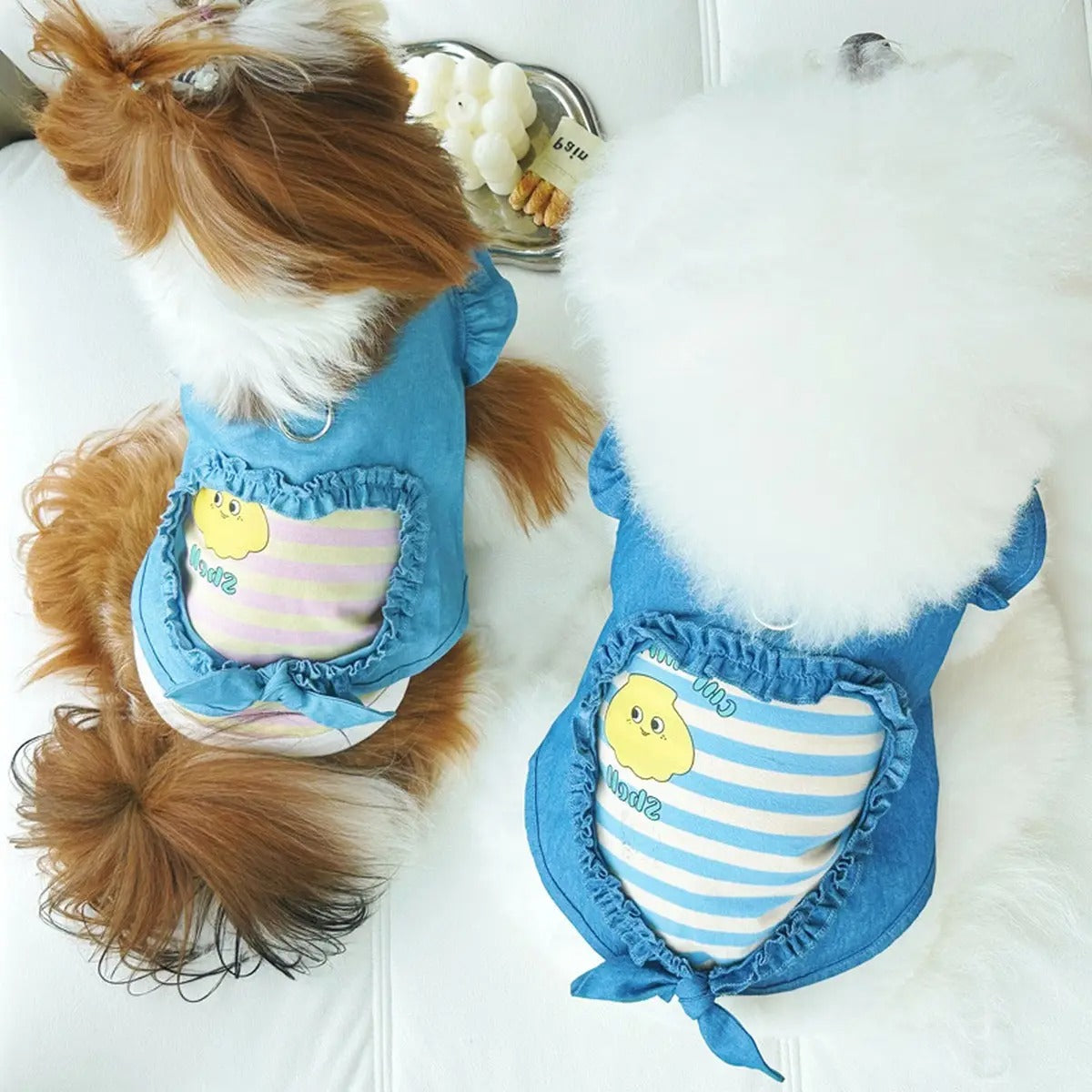 New Denim Cotton Vest for Small & Medium Dogs_CWMM5861