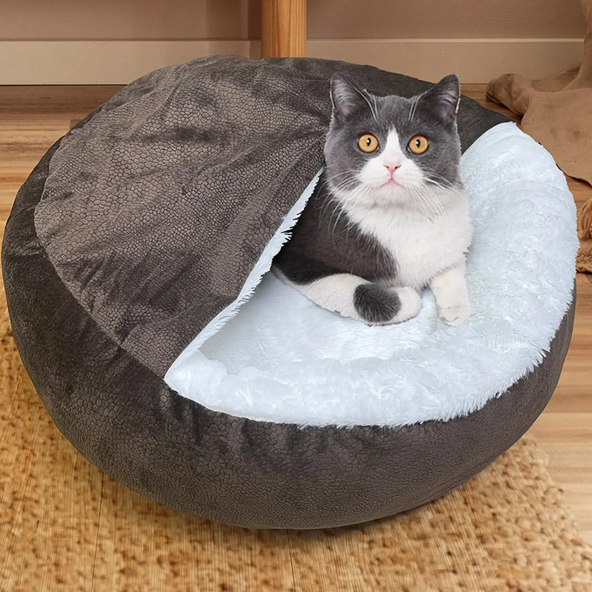 Creative Shell-Shaped Soft Plush Cat Bed & Blanket_CWMM5891