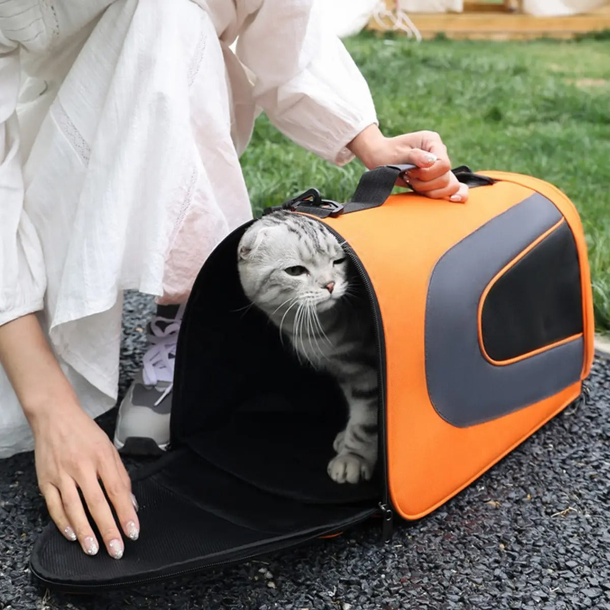 Breathable Cat Carrier Tote with Shoulder Strap_CWMM6932