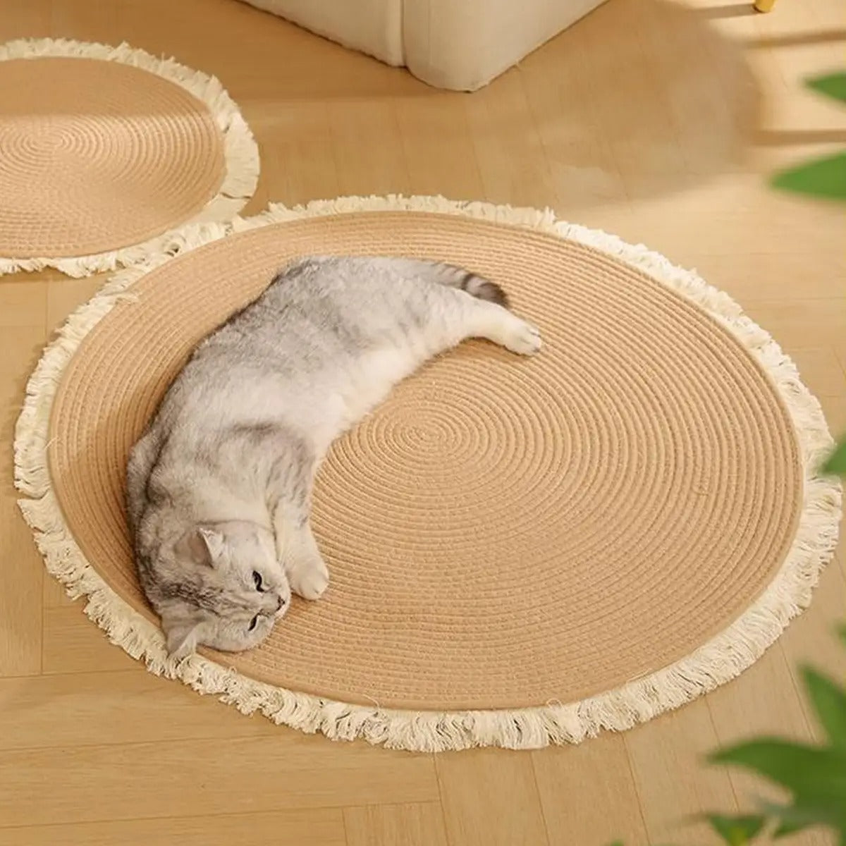 Anti-Slip Cat Mat with Claw Sharpening Surface_CWMM6562