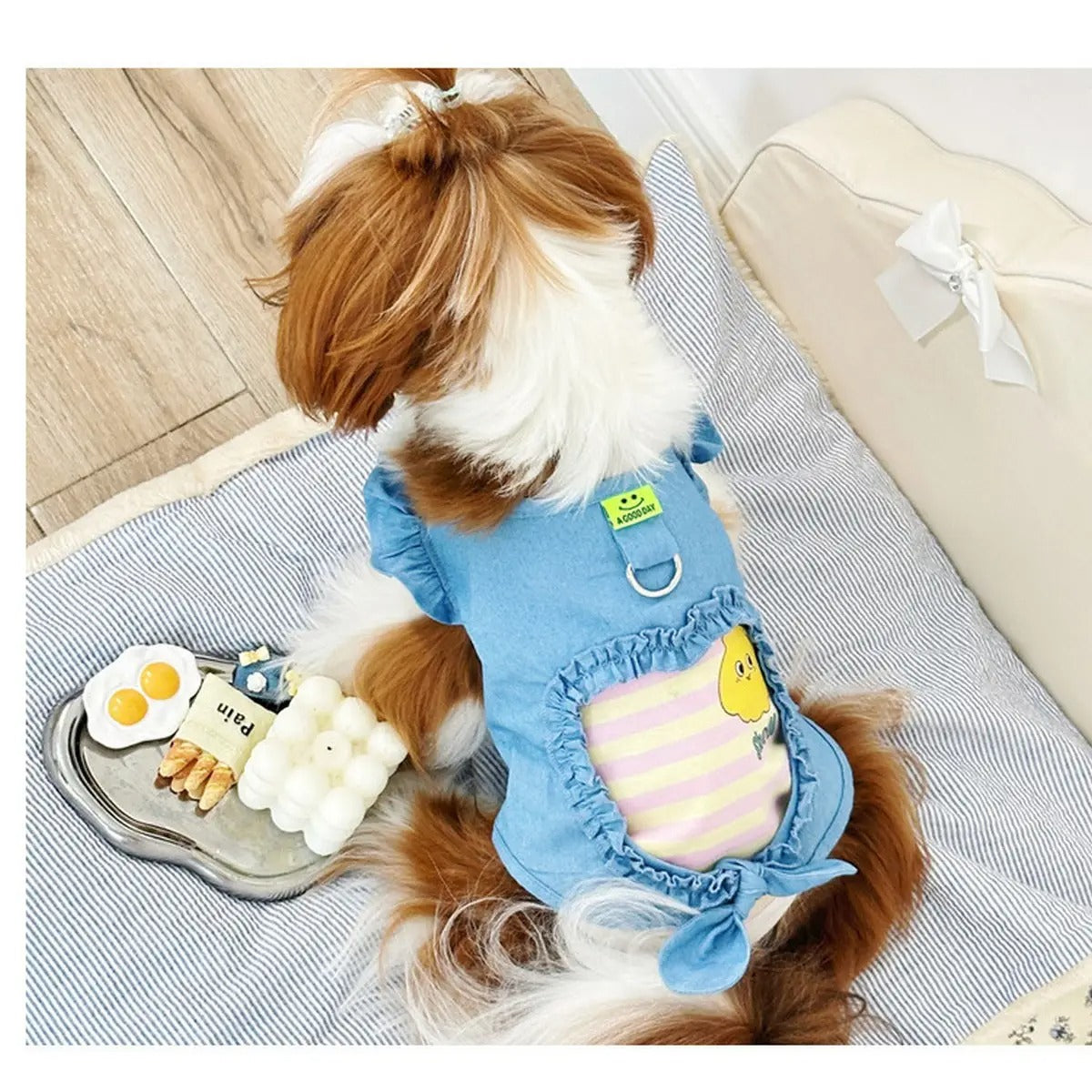 New Denim Cotton Vest for Small & Medium Dogs_CWMM5861