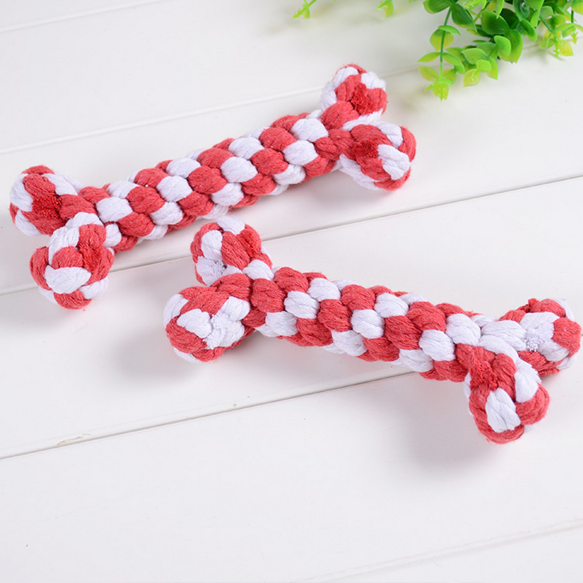 Cotton Rope Bone Dog Toy – Durable & Dental_CWMM8028