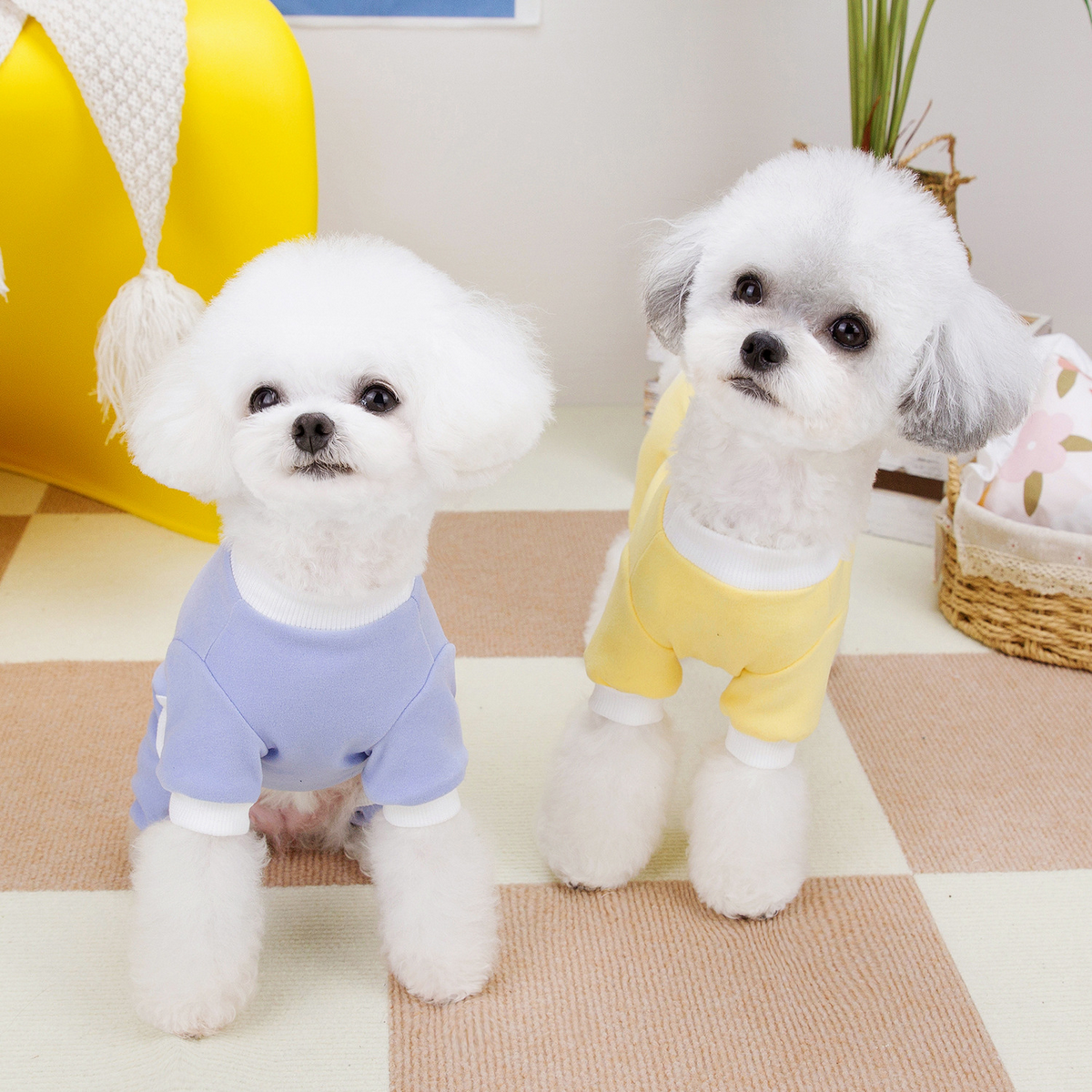 BreezyBuddy Pet Suit – Lightweight Dog Outfit_CWMM6992