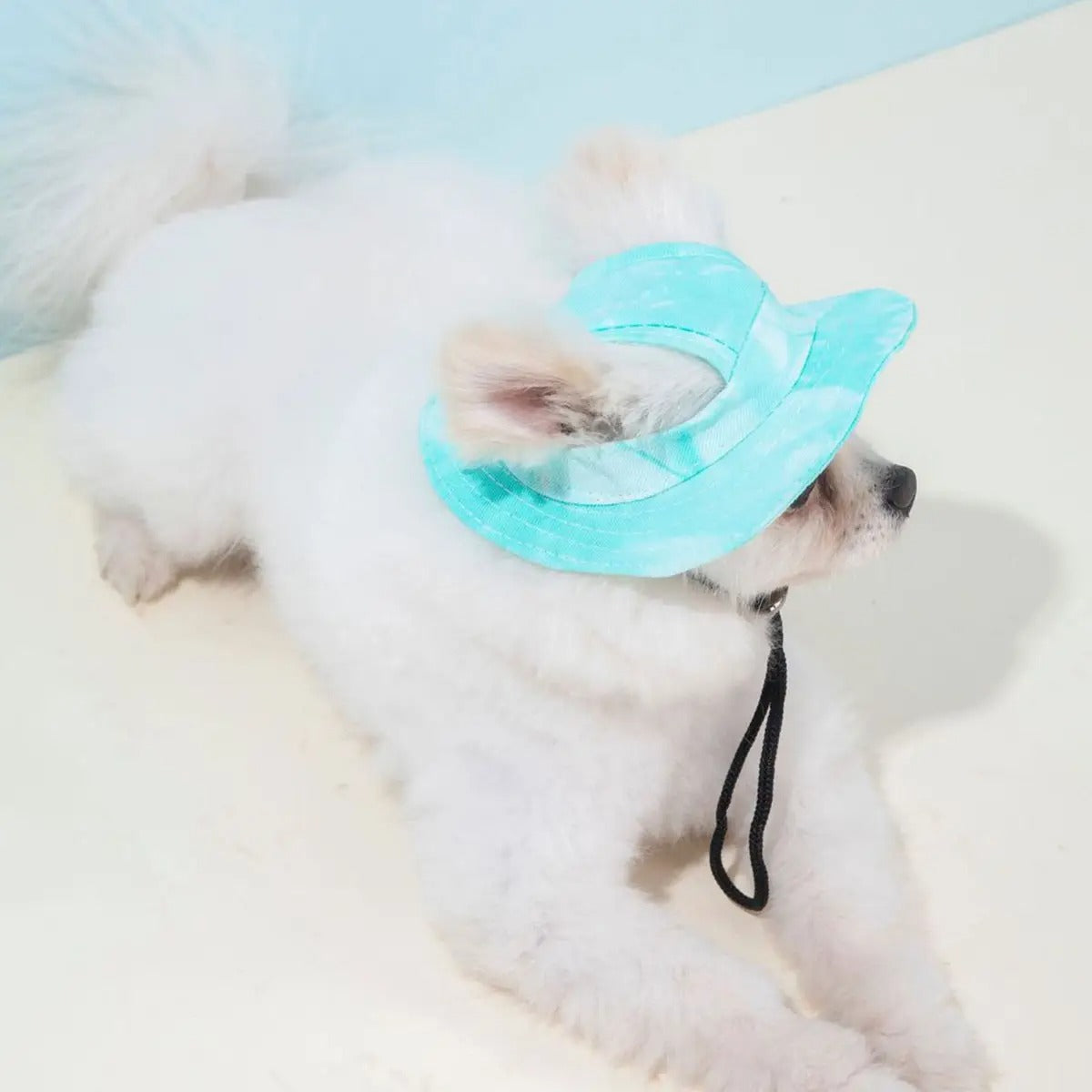 Adjustable Pet Sun Hat –Cute & Ear-Friendly Design_CWAH3698