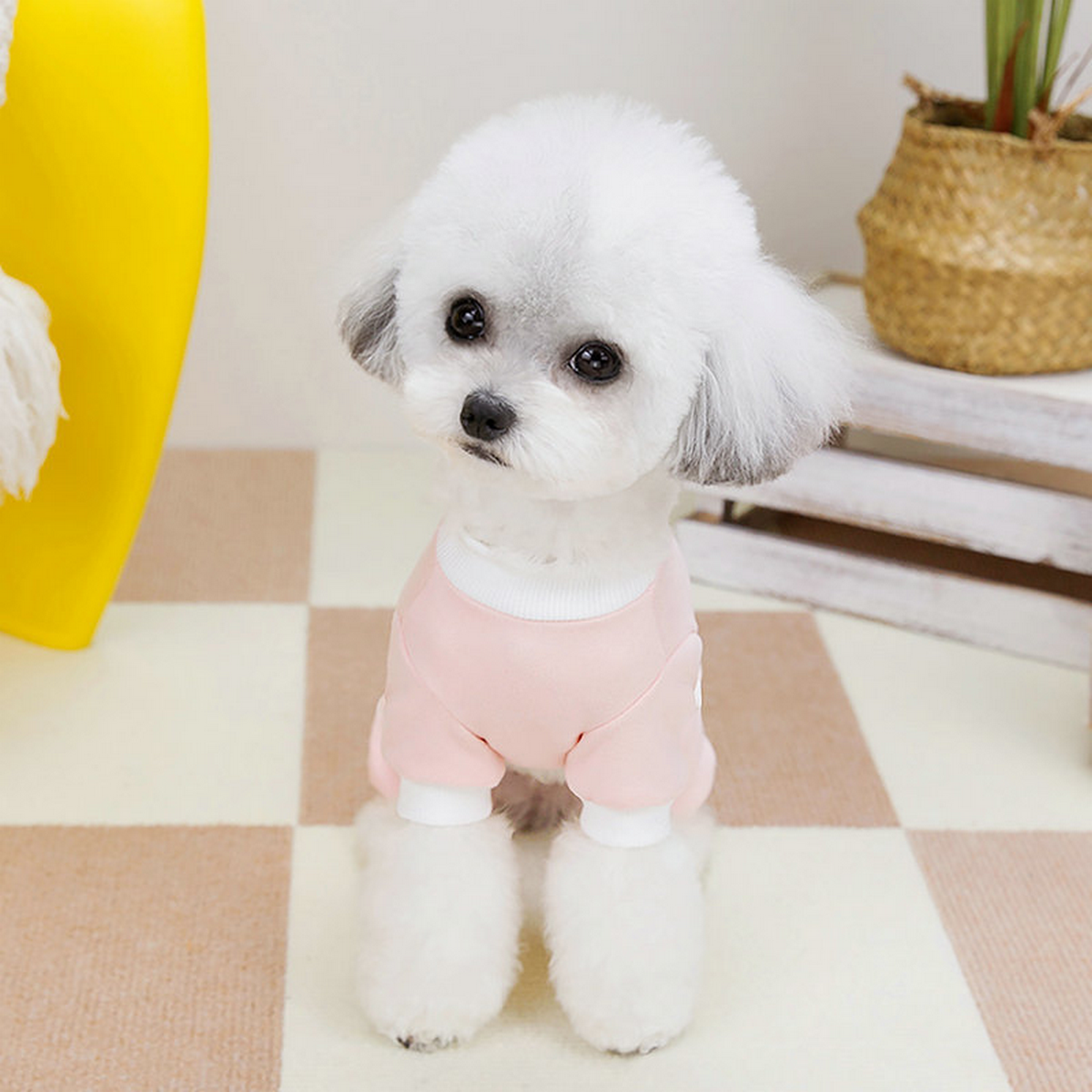 BreezyBuddy Pet Suit – Lightweight Dog Outfit_CWMM6992