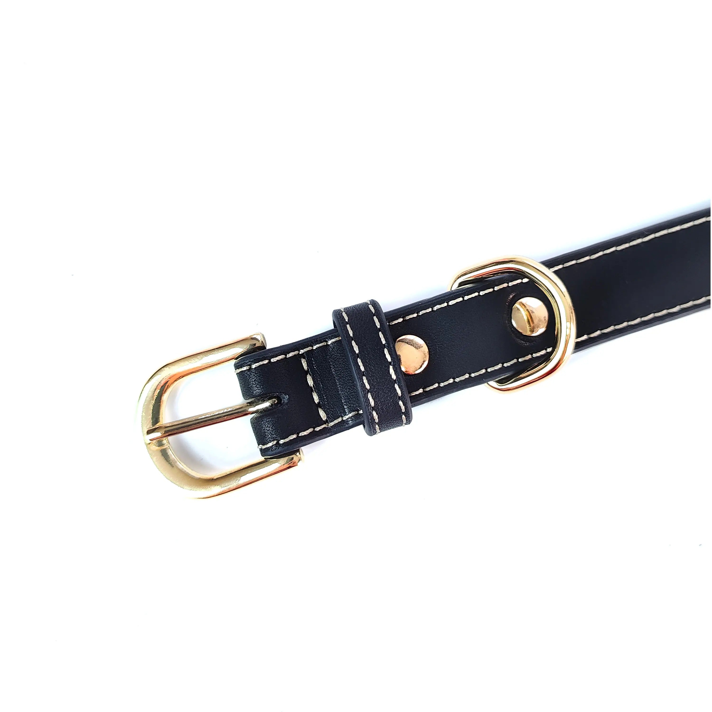 Leather Pet Collar with Apple Airtag Holder_CWMM7674
